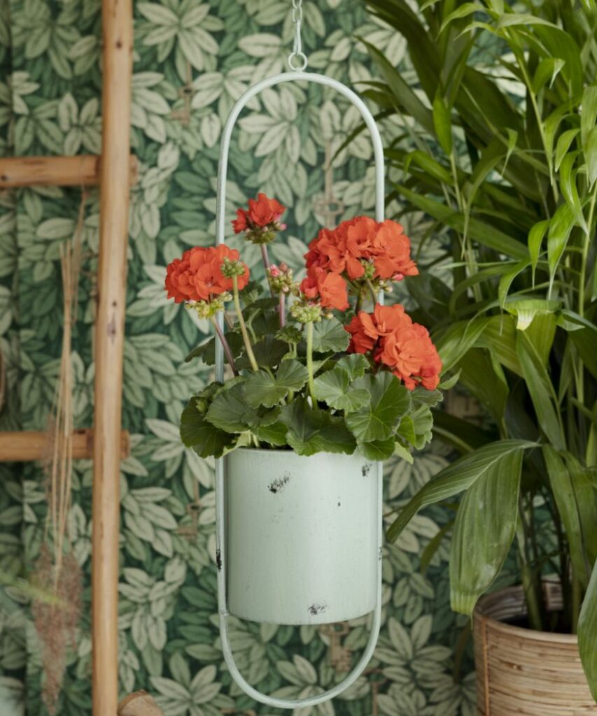 Fioriera Sospesa A Forma Di Cuore Grigia 32cm: Romantica Per Balcone E Giardino!